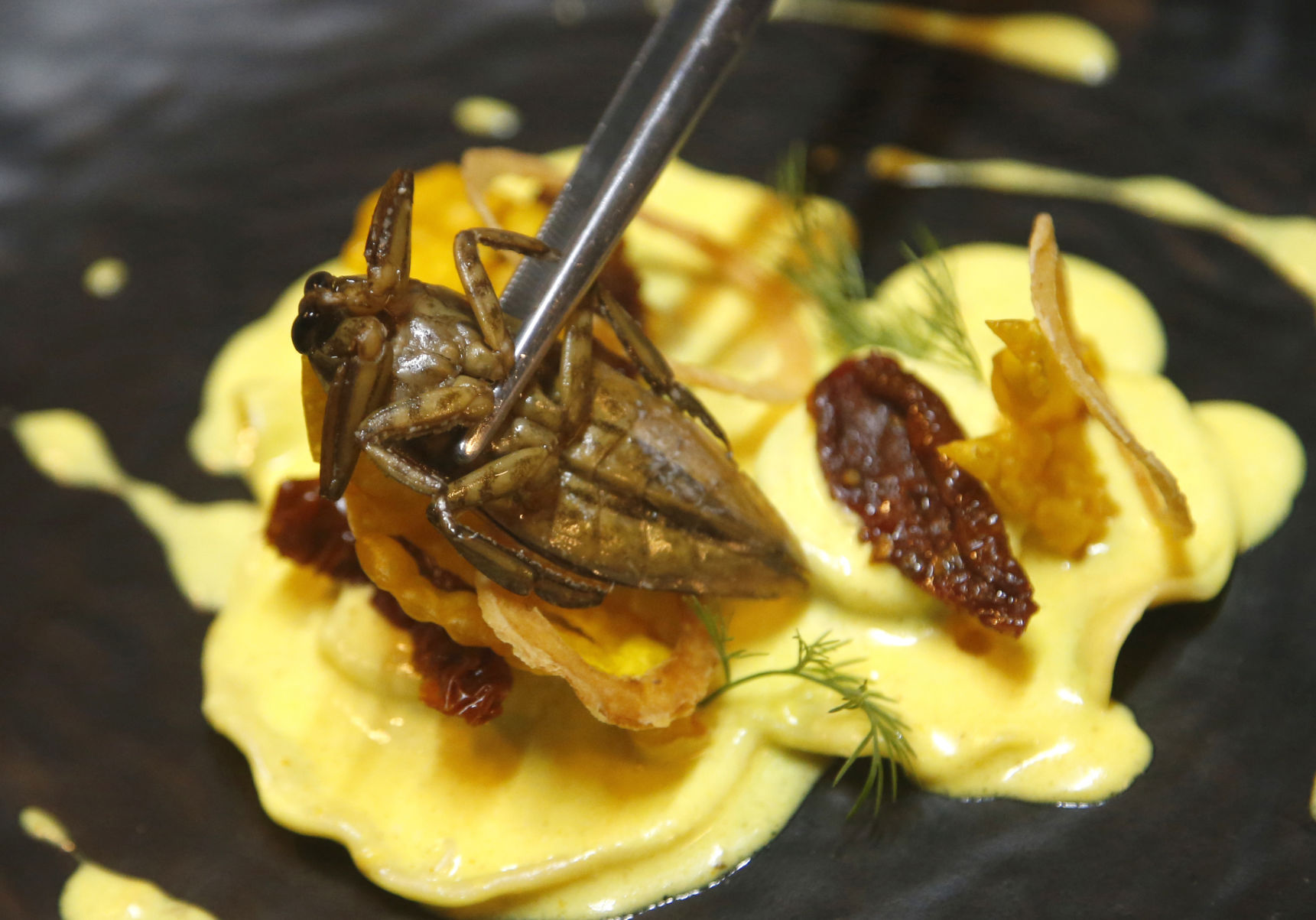 Thailand Bistro of Bugs